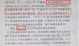 吃网红瓜违法吗判几年,吃瓜违法，判罚标准揭秘